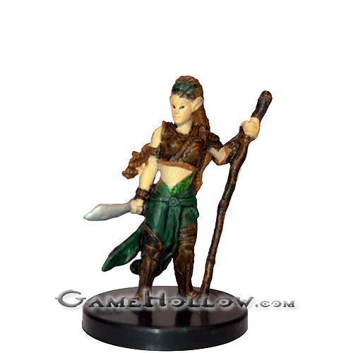 #18 - Warden of the Wood (Elf Human Wizard)