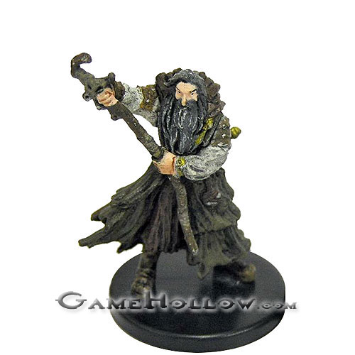 Pathfinder Miniatures Skull & Shackles 23 Master of Gales (Male Pirate Druid)